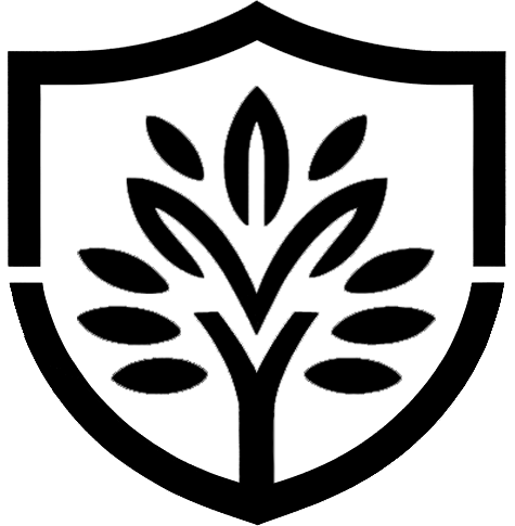 MSO Engenharia
